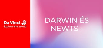 Darwin és Newts - Virágverseny Kivivölgyben Darwin és Newts - Virágverseny Kivivölgyben