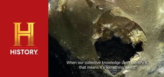 Доказательство где-то рядом, 5 сезон, 1 эп. Золотой шар пришельцев, снежный человек, НЛО в Лас-Вегасе.