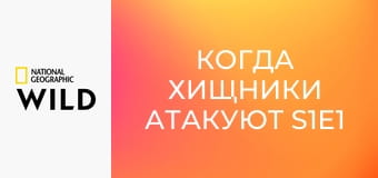 Когда хищники атакуют S1E1 - Суперзмеи