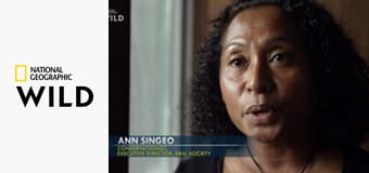 Воины новой волны