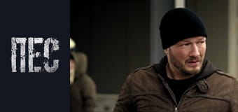 Пёс, Сезон 3, Серия 10