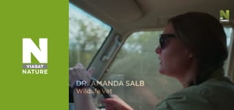 Рятувальники тварин у Малаві - Сезон 2 - Прогулянки з панголіном