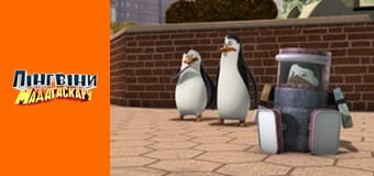 Сезон 2 - Серия 24