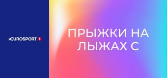 Прыжки на лыжах с трамплина. Кубок мира. Финал в Планице, Словения. HS 240. Квалификация 1.