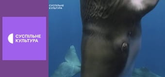 Д/с "Выжить в дикой природе", 2 и 3 с.