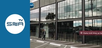 Pedro Around the World - USA