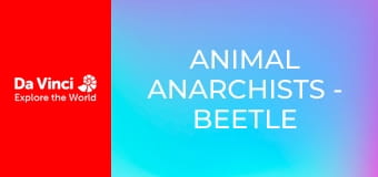 Бунтующие животные - Личинки жуков активизируются ночью