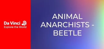 Animal Anarchists - Beetle Larvae Get Busy at Night