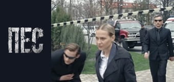 Пёс, Сезон 6, Серия 21