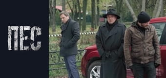 Пёс, Сезон 6, Серия 20