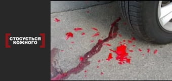 Привілей безкарності.