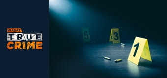 Злам S29E8 - Франсін Степп