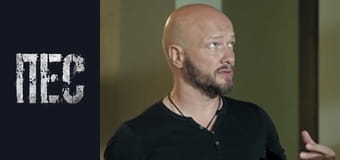 Пёс, Сезон 6, Серия 1