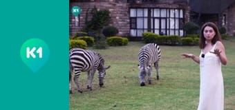 "Світ_огляд з Машею Себовою".