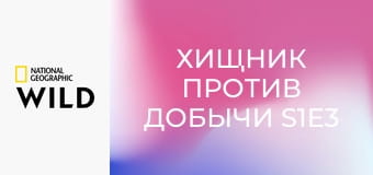 Хищник против добычи S1E3 - крокодил