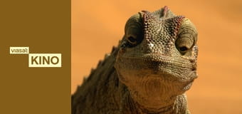 Зачароване королівство 3D