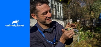 Чернобыль: жизнь после