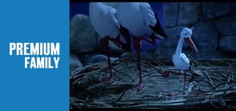 Пташиний ульот