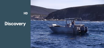 Войны за моллюсков S3E3