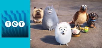 Секрети домашніх тварин Секрети домашніх тварин