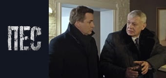 Пёс, Сезон 6, Серия 36