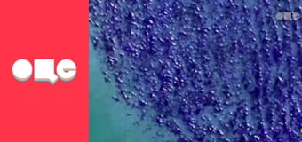 Т/с "CSI: Місце злочину - Маямі", 7 сезон, 13 с.