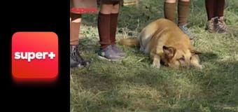 Т/с "Дитячий охоронець", 15 с. "Пластуни".