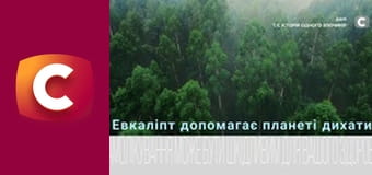 "История одного преступления", 7 сезон, 13 эп. "Плутон в восьмом доме".