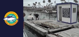 Sea Star, part 1 Sea Star, part 1