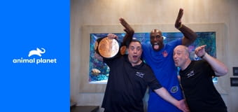 Аквариумный бизнес S6E13 - В погоне за золотой рыбкой