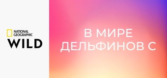 В мире дельфинов с Берти Грегори