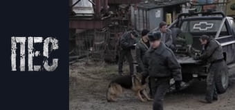 Пес, Сезон 1, Серія 5 Пес, Сезон 1, Серія 5