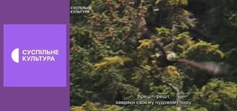 Д/с "Спецназ животного мира". "Воздушные силы".