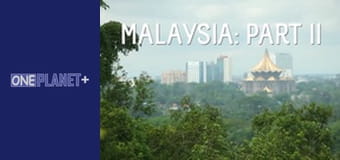 У ритмі танцю навколо світу. Сезон 1 - серія 10