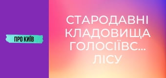 Стародавні кладовища Голосіївського лісу під загрозою забудови. Китаївська пустинь зникне.