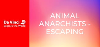 Animal Anarchists - Escaping the Wasp