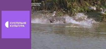 Д/с "Спецпризначенці тваринного світу". "Фахівці".