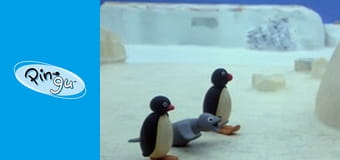 Pingu Sezon 1 Odcinek 11 Pingu Sezon 1 Odcinek 11