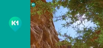 "Так не буває".