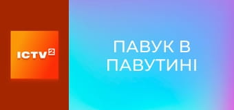 Х/ф "Павук в павутині".