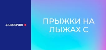 Прыжки на лыжах с трамплина. Кубок мира. Этап 15 в Лахти, Финляндия. HS 130. День 2.