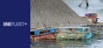 Мистецтво Простору. - серия 14