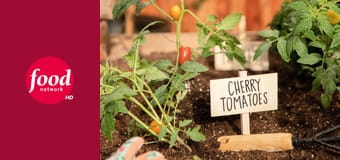 Чемпионат юных пекарей S9E7 - Лакомства для щенков