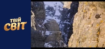 Місія неможлива: Фоллаут