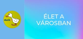 Élet a városban Élet a városban