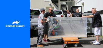 Аквариумный бизнес S8E6 - Сюрприз от Хоуи Мэндела