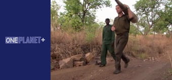 Под открытым небом - Национальные парки. - cерия 1