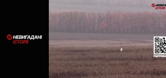 Невигадані історії.