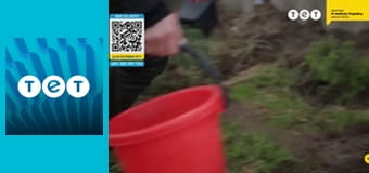 Панянка-селянка