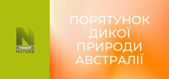 Порятунок дикої природи Австралії S1E2 - Строкатий пітон Джек